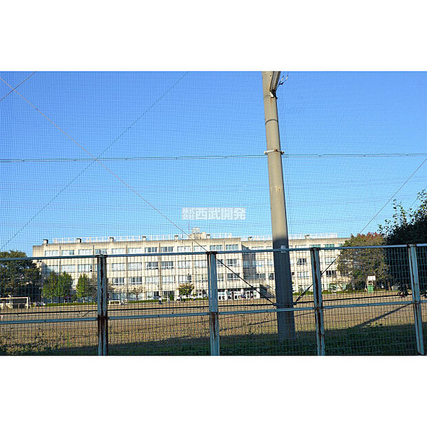 柏原中学校