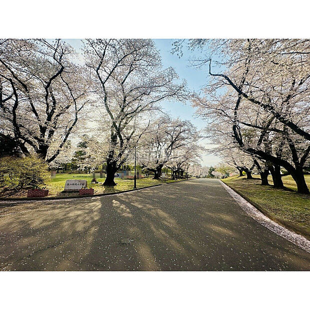 稲荷山公園