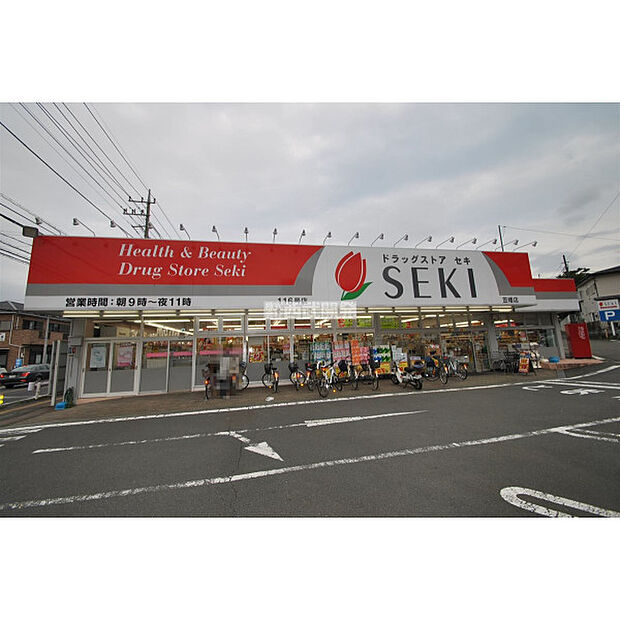ドラッグストアセキ笠幡店