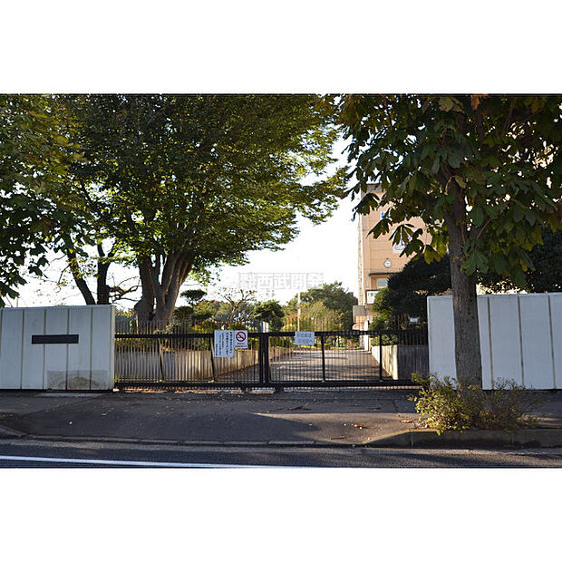 柏原中学校