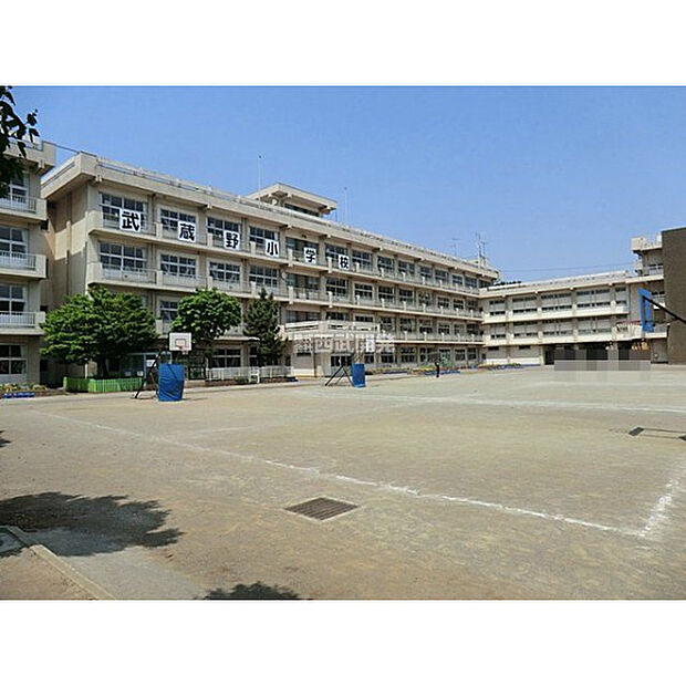 武蔵野小学校
