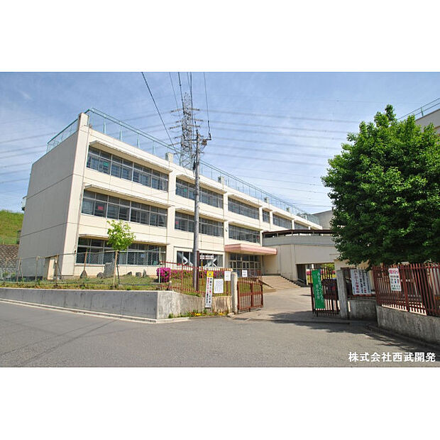柏原小学校