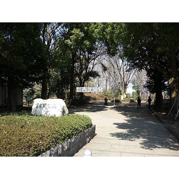 富士見公園