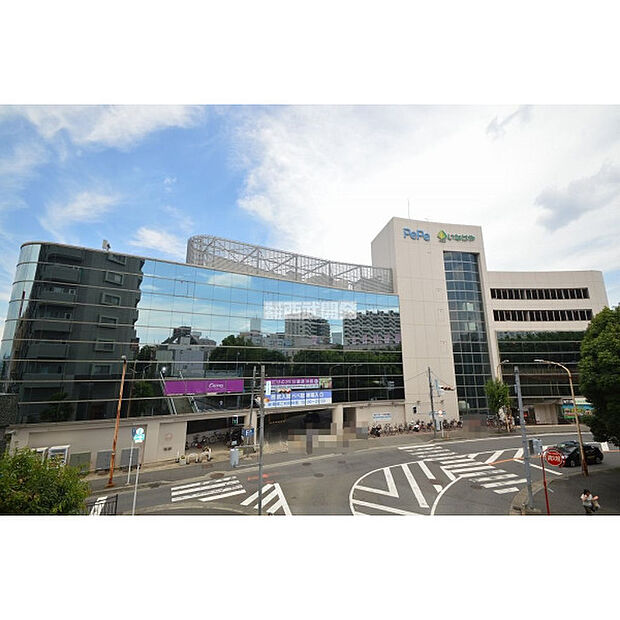 西武入間ペペ店