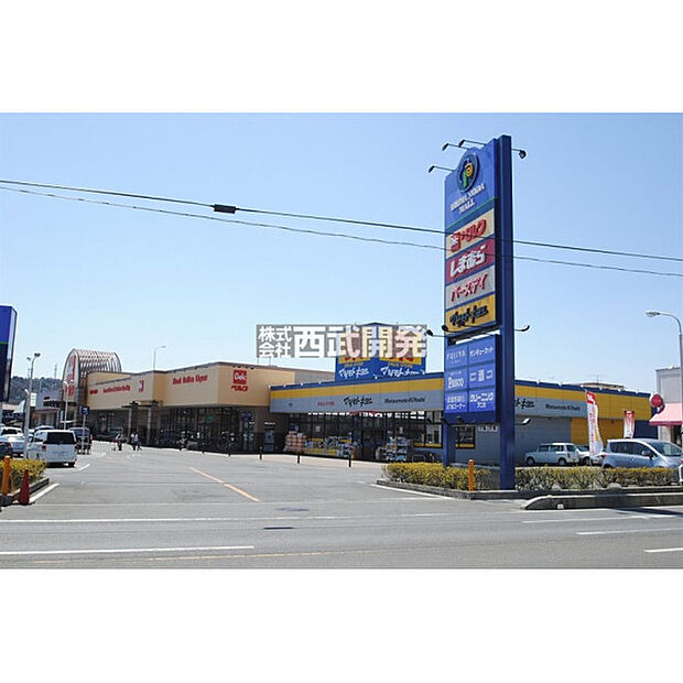 ベルク入間野田店