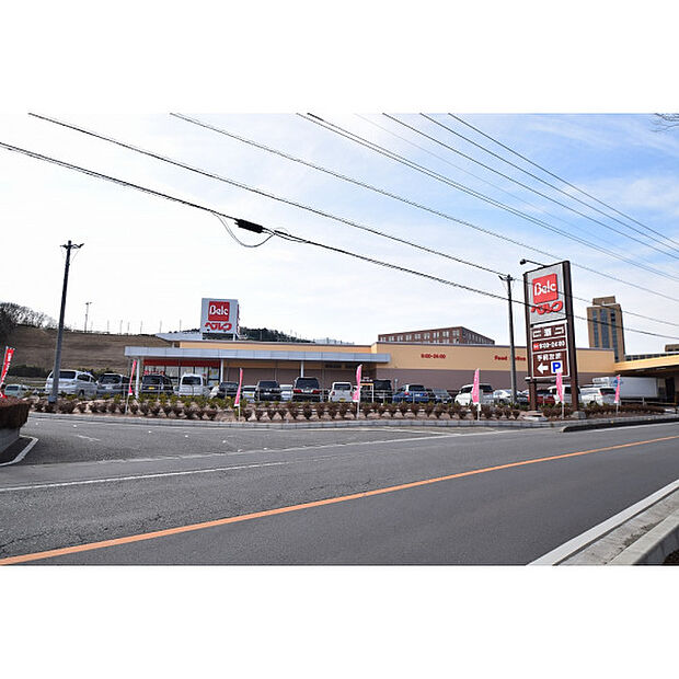 ベルク飯能阿須店