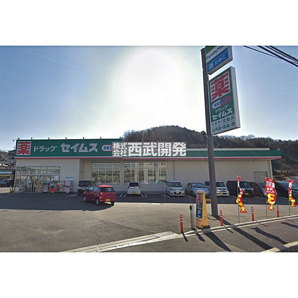 ドラッグセイムス入間仏子店