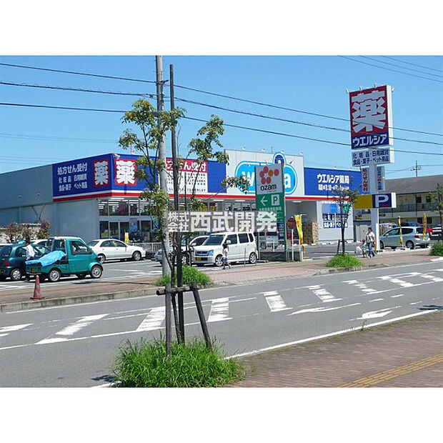 ウエルシア日高高麗川店