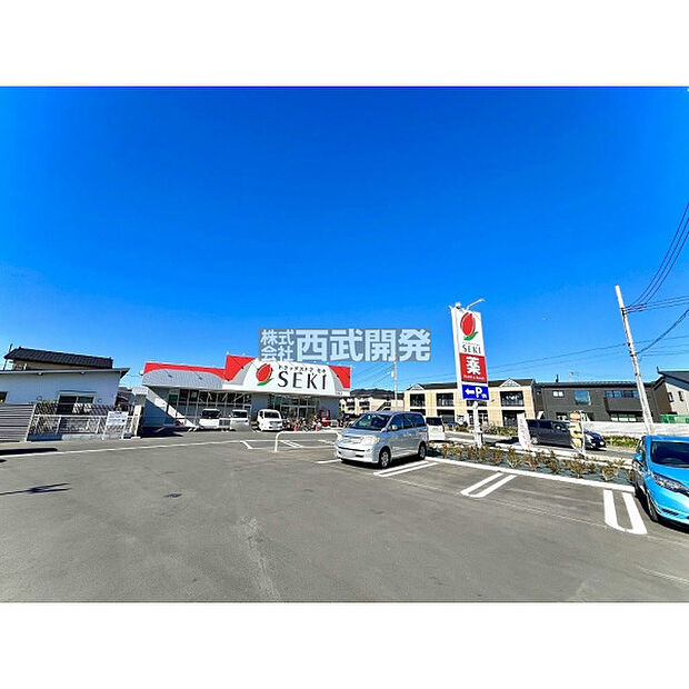 ドラッグストアセキ笠縫店