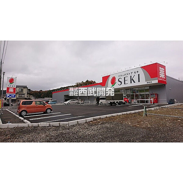 ドラッグストアセキ飯能店
