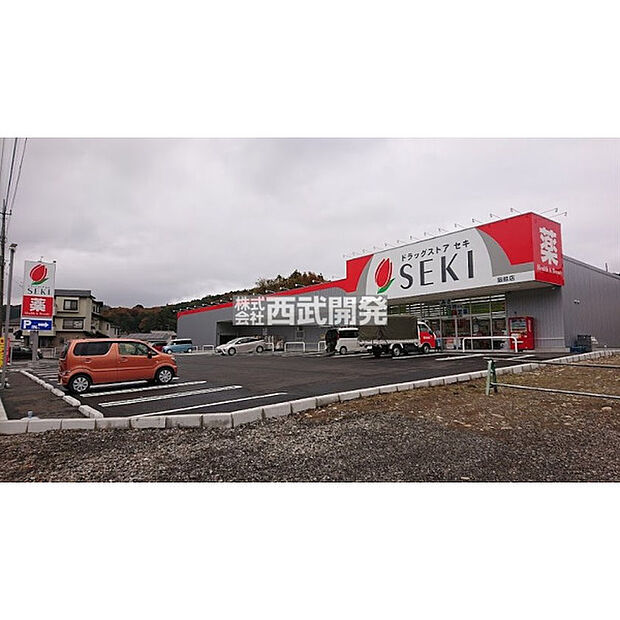 ドラッグストアセキ飯能店