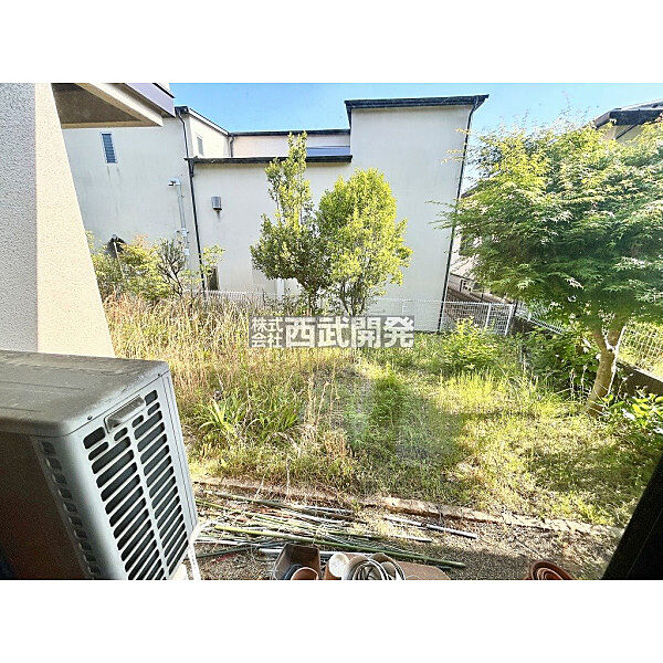 庭。