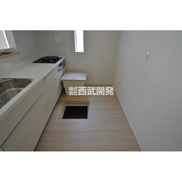 8月撮影