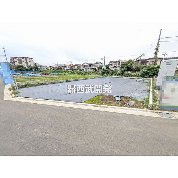 9月撮影
