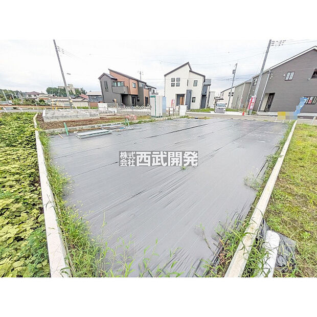 9月撮影
