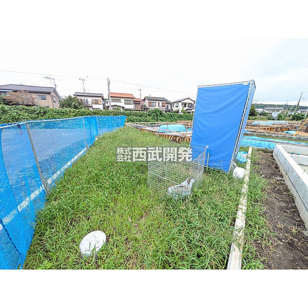9月撮影