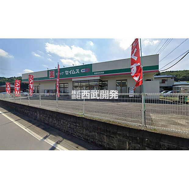 ドラッグセイムス飯能岩淵店