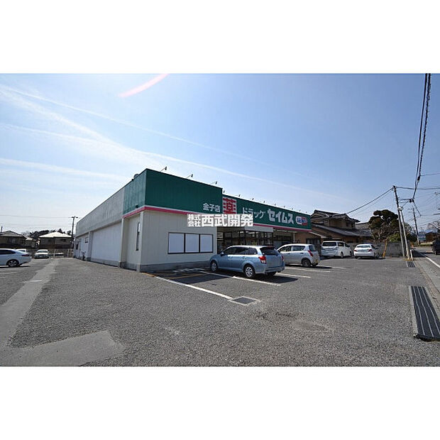 ドラッグセイムス金子店
