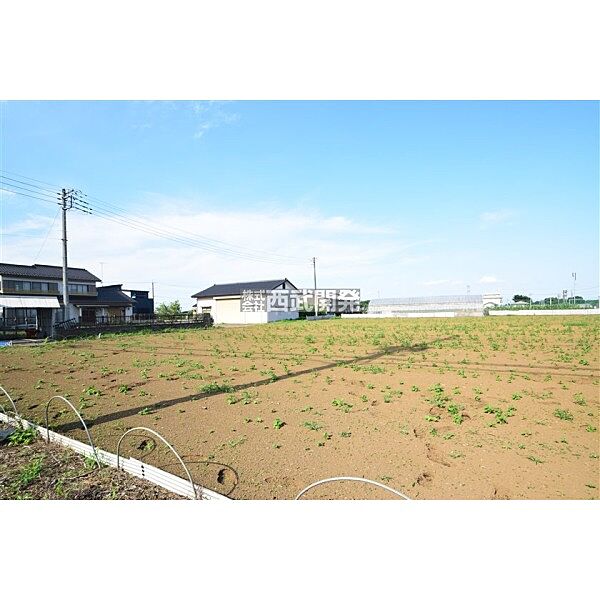 外観：311001333252