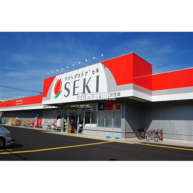 ドラッグストアセキ