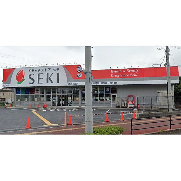 ドラックストアセキ