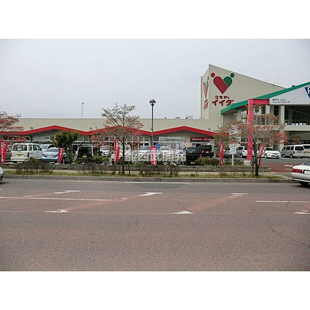 コモディイイダ