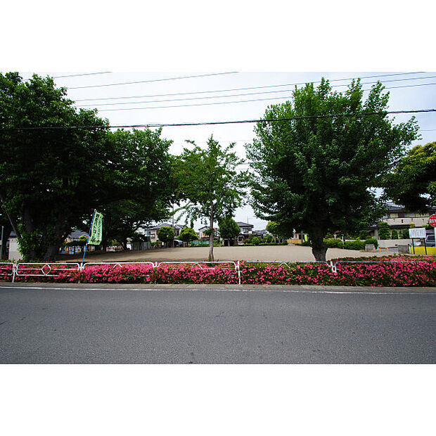 羽折公園