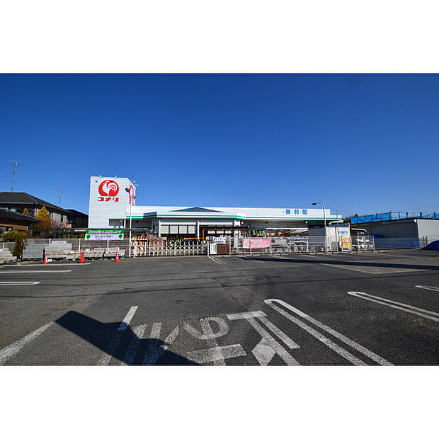 コメリハード&グリーン