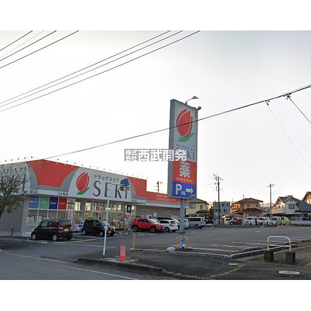 ドラッグストアセキ