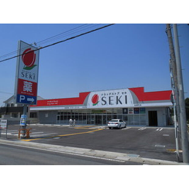 ドラックストアセキ