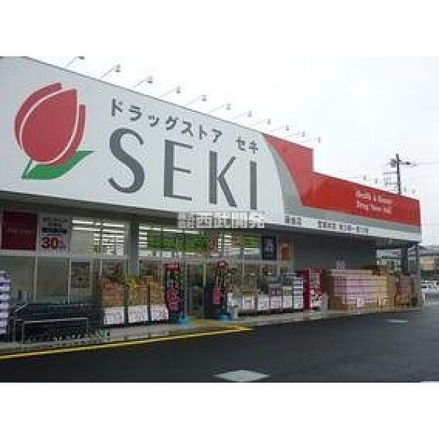 ドラックストアセキ