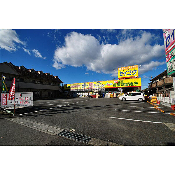 セイユウ