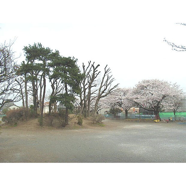 たぬき山公園