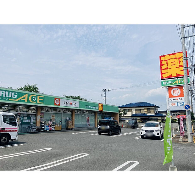 ドラッグエース岸町南店
