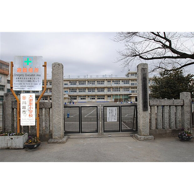 大東東小学校