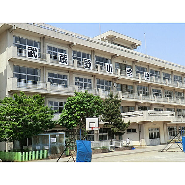 武蔵野小学校