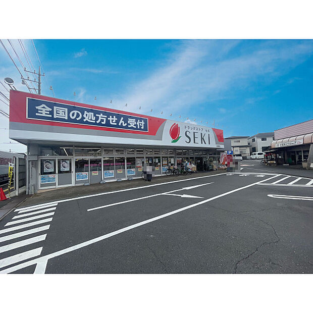 ドラッグストアセキ笠幡店