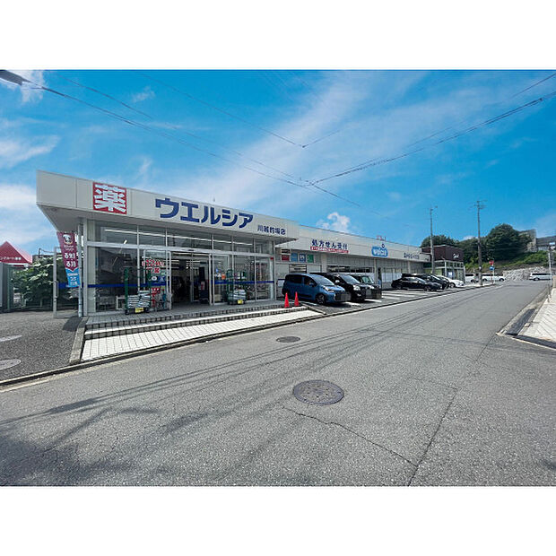 ウエルシア川越的場店