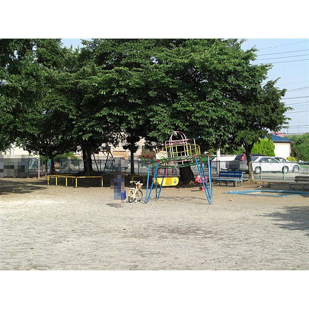 的場たぬき山公園