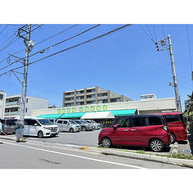 生鮮市場田中青果