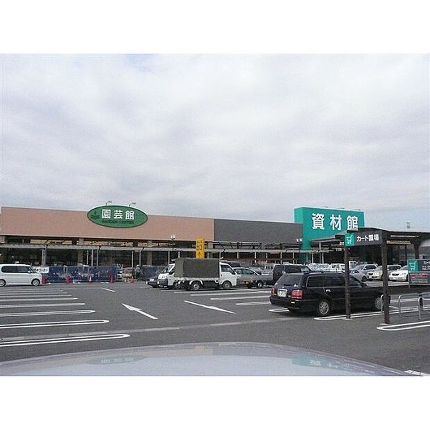 カインズホーム