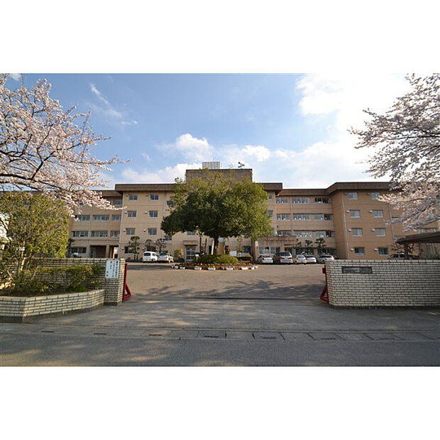 砂中学校