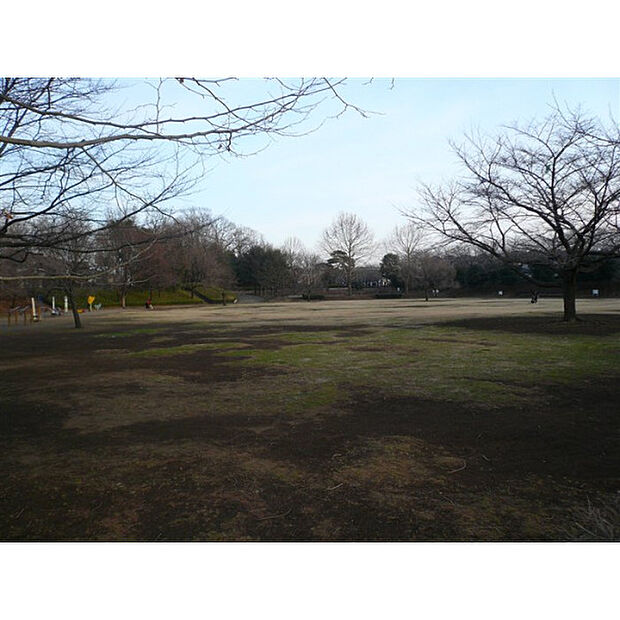 御伊勢塚公園