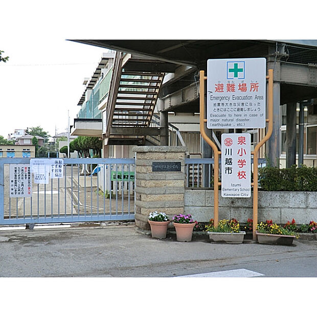 泉小学校