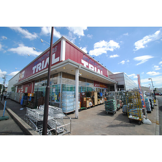 ディスカウントストアトライアル佐知川店