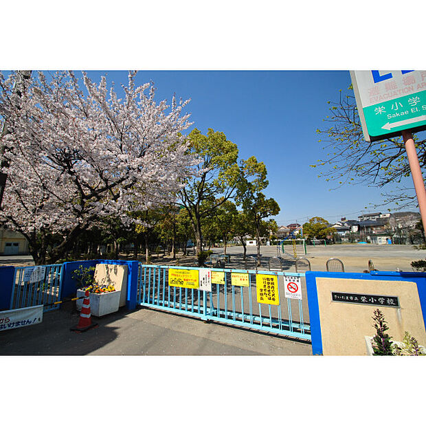 栄小学校
