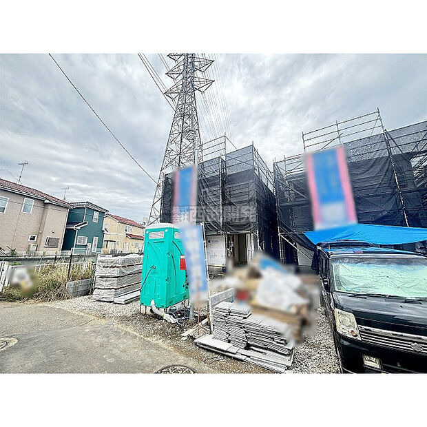2026年6月撮影