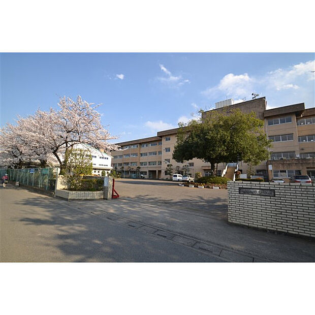 砂中学校