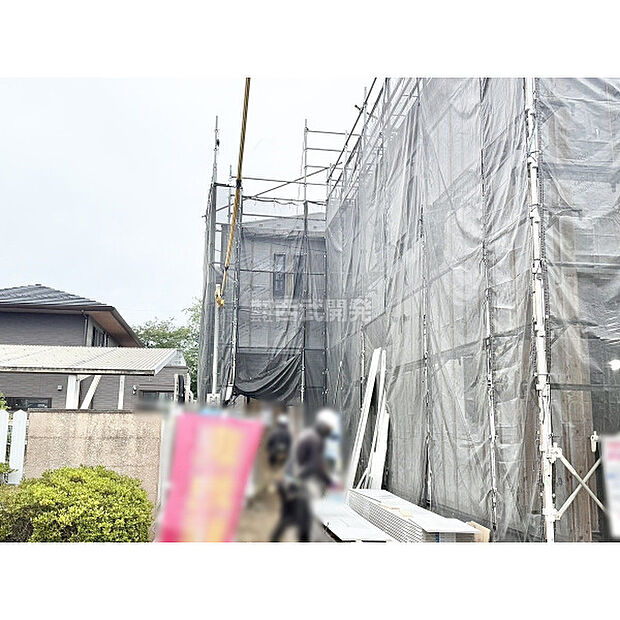 2026年6月撮影