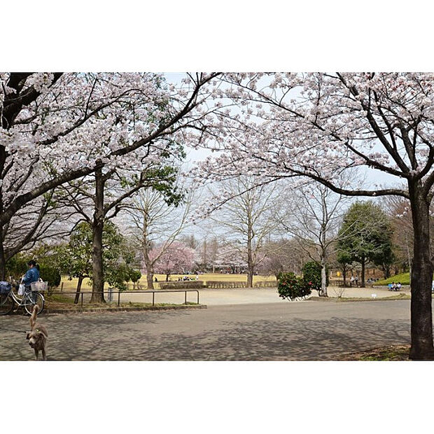御伊勢塚公園